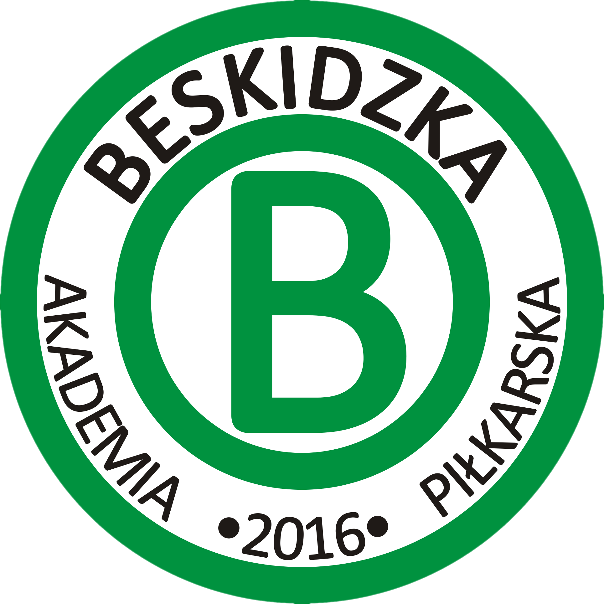 Beskidzka Akademia Piłkarska Ropa