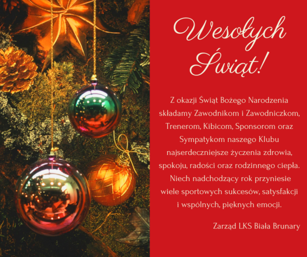 Wesołych Świąt 🎄